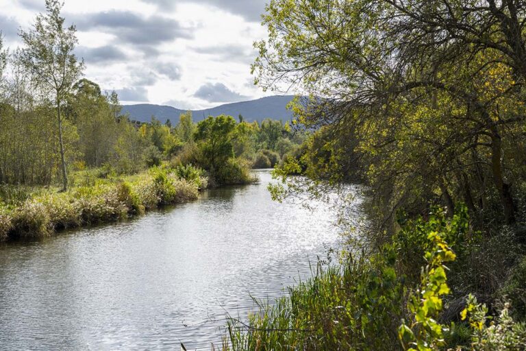 Bullaque Vivo alerta de las consecuencias de la macrogranja proyectada en El Robledo para el río Bullaque y su entorno