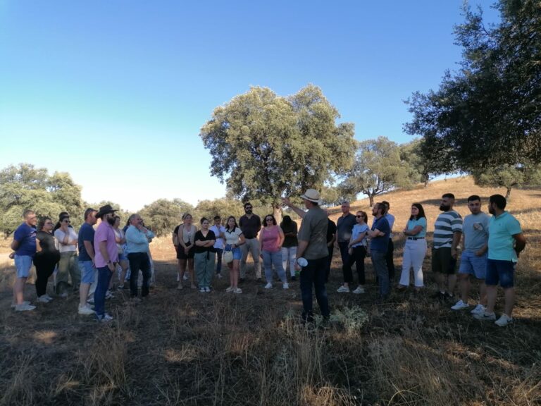 La UCLM, Casa Gutier y la Cámara de Comercio de Ciudad Real clausuran un curso sobre la digitalización del sector veterinario y agroganadero en Chillón