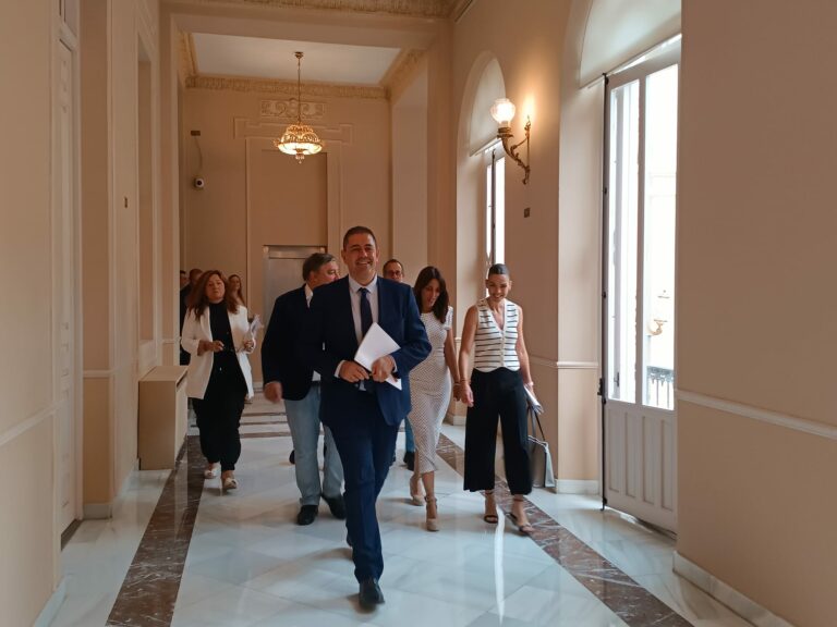 El grupo socialista en la Diputación de Ciudad Real critica que la institución «no sigue un reparto objetivo» de  subvenciones y programas
