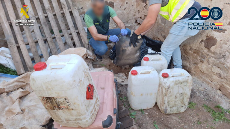 Desarticulada en Ciudad Real y Málaga una organización criminal que introducía cocaína oculta en fruta