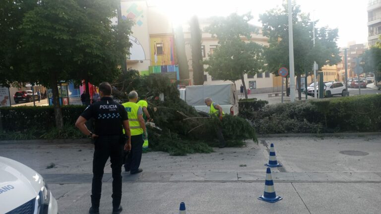 Puertollano: Una furgoneta pick-up se estrella contra los setos y un árbol junto a la Casa de Baños