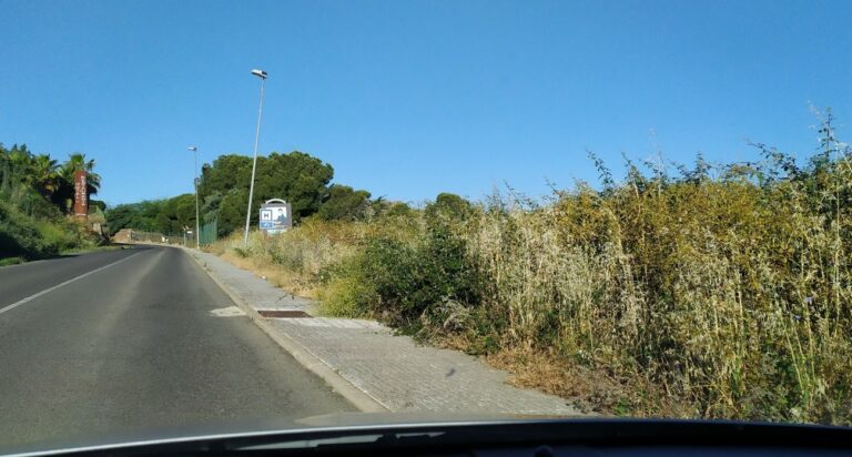 El Ayuntamiento de Almadén denuncia la falta de mantenimiento del margen derecho de la carretera autonómica CM-415