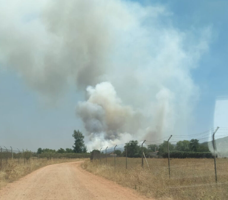 Un total de 22 medios y 90 personas participan en la extinción de un incendio agrícola en Argamasilla de Calatrava