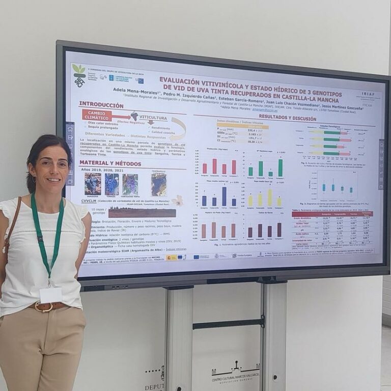 El Grupo de Investigación Vitivinícola del IRIAF profundiza en el conocimiento de tres variedades de uva tinta y su adaptación al cambio climático