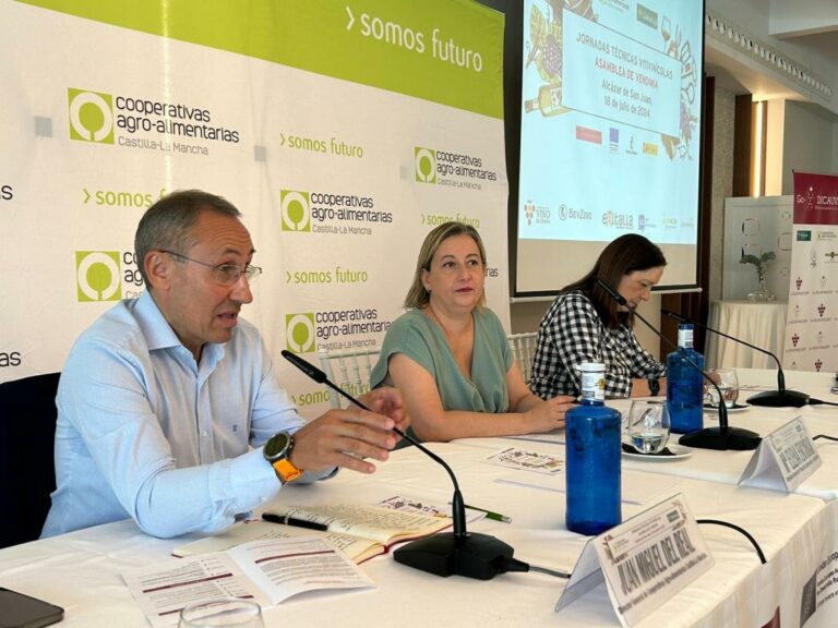 Castilla-La Mancha afronta un inicio de campaña de vendimia con optimismo por la bajada de existencias y el aumento de las exportaciones 