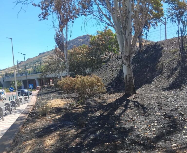 Puertollano: Arde otra vez el ya irreconocible parque urbano junto al AVE