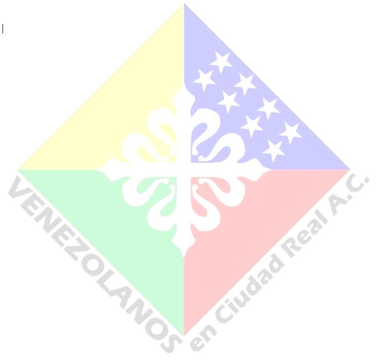 Comunicado Oficial de la Asociación de Venezolanos en Ciudad Real ante las Elecciones Presidenciales 28 de julio 2024