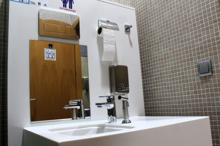 El Gobierno regional adapta un cuarto de baño para personas con ostomías en el Palacio de Medrano, sede de la Junta en Ciudad Real 