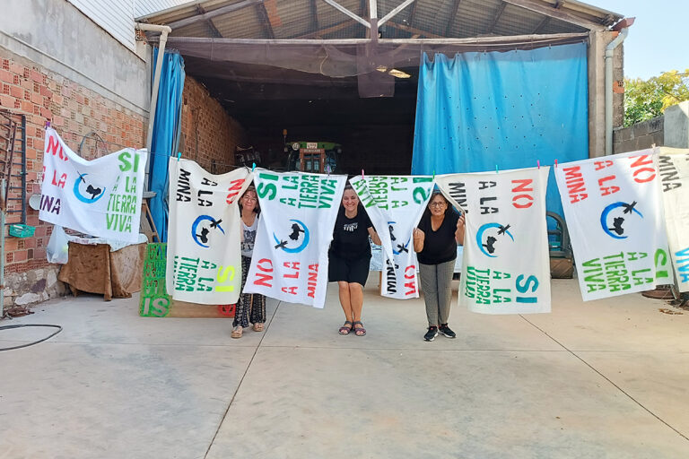 Ciudad Real se engalana contra la minería de tierras raras