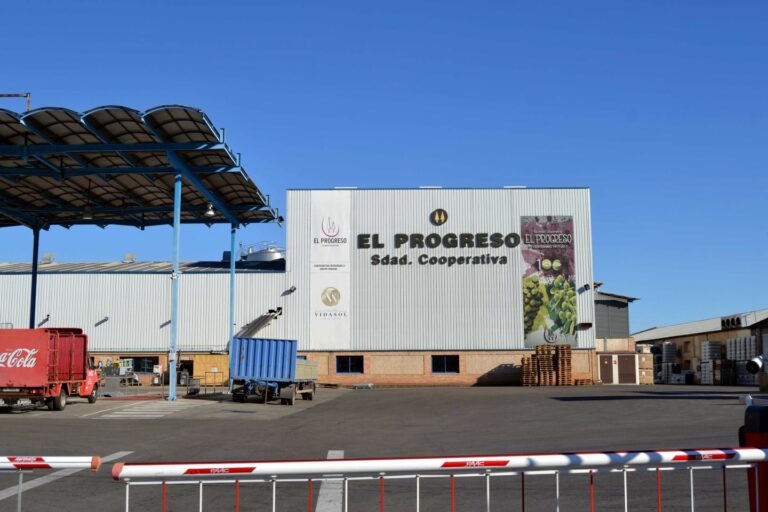 El Progreso de Villarrubia de los Ojos iniciará la campaña de la vendimia en la madrugada del 8 al 9 de agosto con la recogida del Chardonnay y Sauvignon Blanc