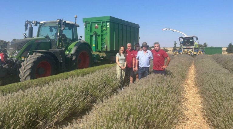 El Gobierno de Castilla-La Mancha visita los campos de lavanda para conocer su estado ante el adelanto de la cosecha
