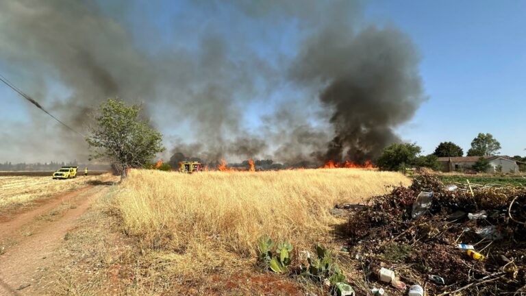 Un incendio de pastos sobresalta a los vecinos de La Poblachuela