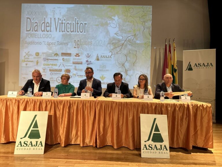 El primer semestre de 2024, el mejor para las exportaciones de vino de Castilla-La Mancha que alcanzan una facturación de 386 millones