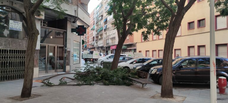 Cae una rama de tamaño considerable sobre la acera de la calle Tinte
