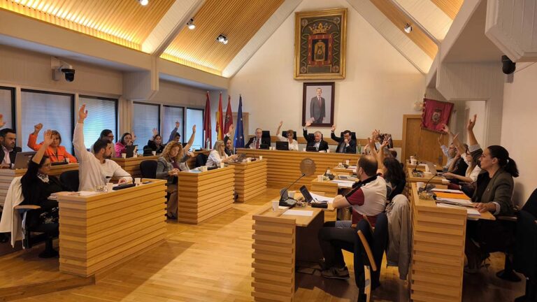 El Pleno de Ciudad Real aprueba intensificar acciones en la limpieza de excrementos de paloma y adherirse al sello de Turismo Familiar