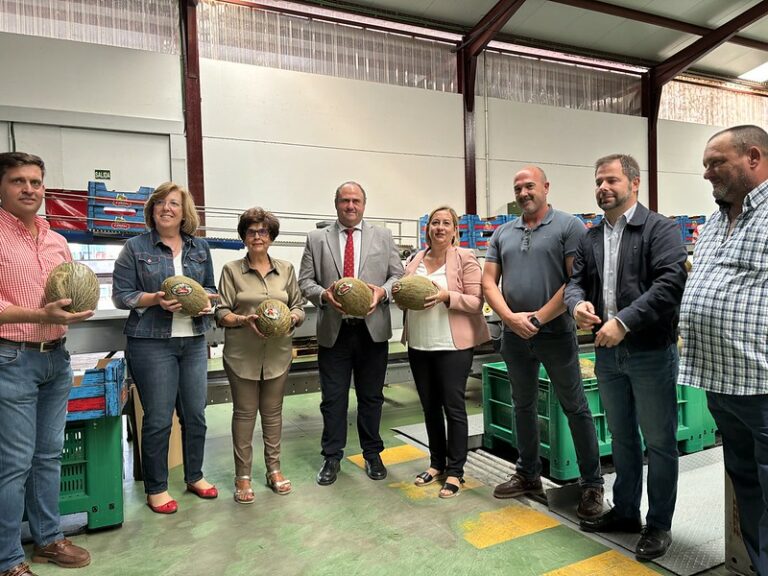 El Gobierno regional abonará antes del 15 de octubre a las Organizaciones de Productores de Frutas y Hortalizas 6,1 millones, la mayor cantidad destinada nunca a esta línea