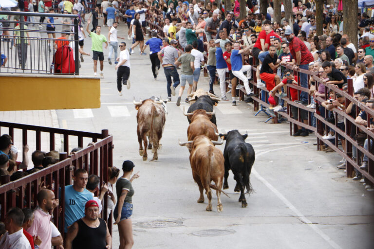 El hombre herido de gravedad en los encierros de Almodóvar del Campo evoluciona favorablemente y pasa a planta tras ser operado