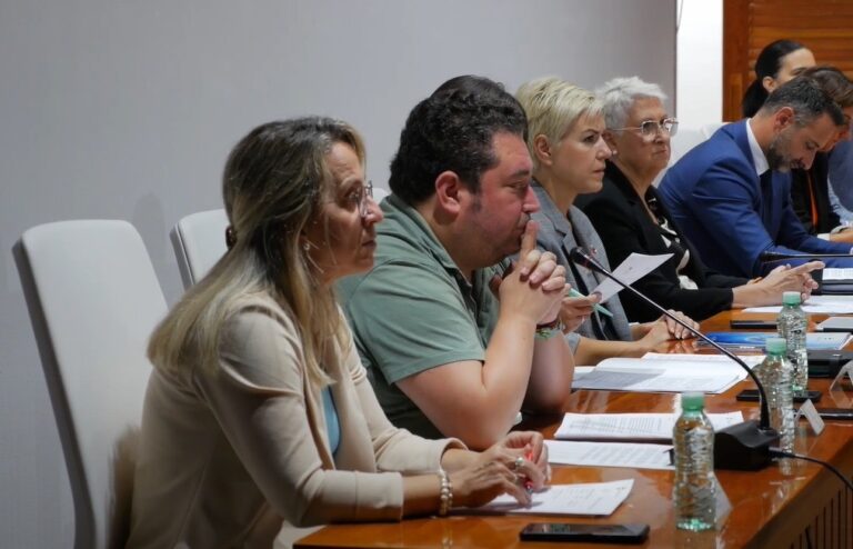 Vox vota en contra de la Agenda Urbana de Puertollano, “de trasfondo siniestro”