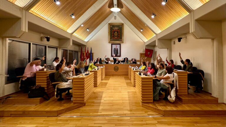 Ciudad Real aprueba una rebaja del IBI para el 2025 y bonificaciones para familias y empresas en varios impuestos