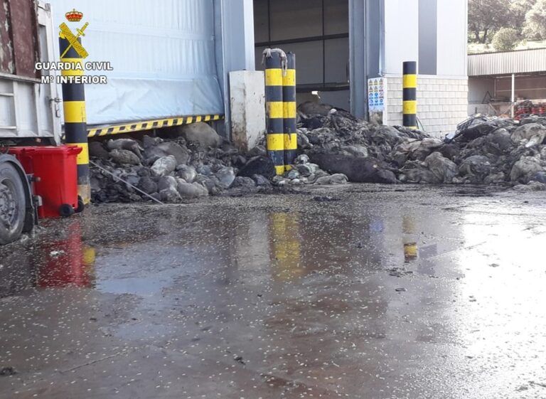 Puertollano expresa su preocupación por el potencial riesgo sanitario de las toneladas de animales muertos acumuladas en ABP Solutions