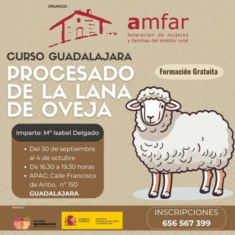 AMFAR enseña a las mujeres rurales a procesar lana de oveja como oportunidad de empredimiento