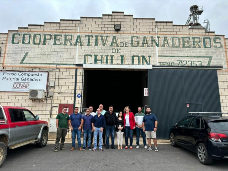 El Gobierno de Castilla-La Mancha garantiza su apoyo al sector ganadero de Chillón al suponer una de las principales fuentes de riqueza en el municipio
