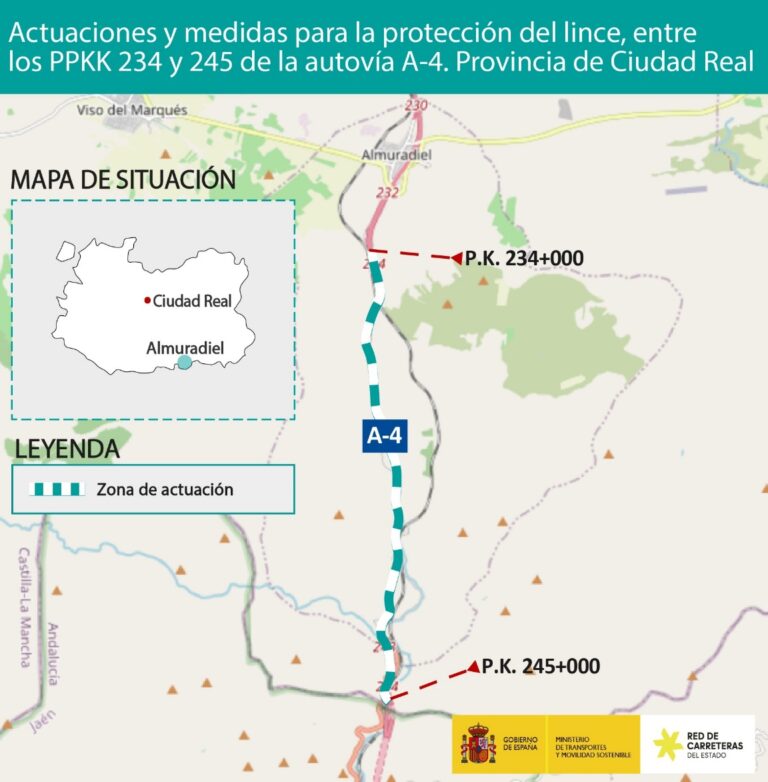 Transportes aprueba definitivamente el proyecto de construcción para proteger al lince ibérico en la autovía A-4, entre Despeñaperros y Almuradiel