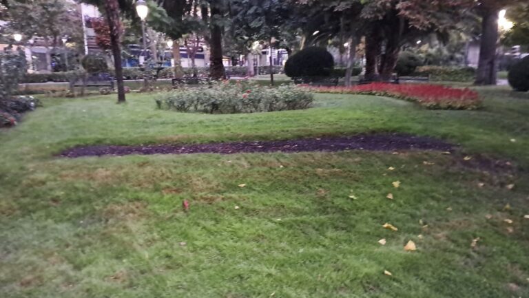 Robados parterres enteros de flores en el Paseo de San Gregorio de Puertollano: El Ayuntamiento pide ayuda