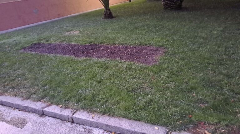Los incívicos ladrones de flores en Puertollano