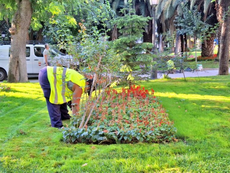 El Ayuntamiento de Puertollano licitará parte del servicio de jardinería para paliar la falta de personal municipal