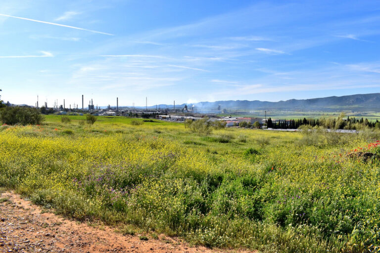 El Ayuntamiento de Puertollano adelanta el pago de deuda de los terrenos del cementerio y reservará dos millones para las obras del Bosque en 2025