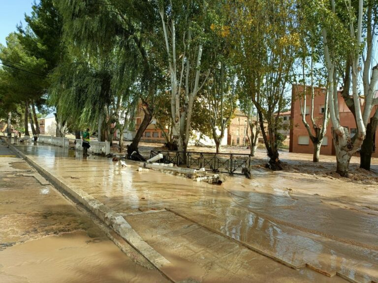 Los regantes pedirán ayudas directas o medidas fiscales para paliar las pérdidas por la DANA