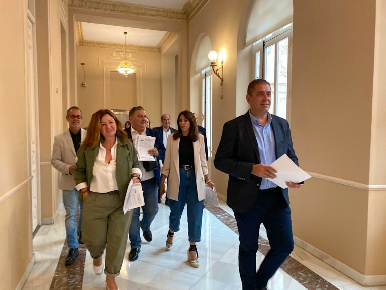 El PSOE insiste en que la Diputación de Ciudad Real quiere abandonar el Plan de Empleo de la Junta