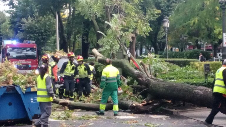 El Ayuntamiento de Puertollano inspecciona las zonas verdes tras la caída de dos árboles