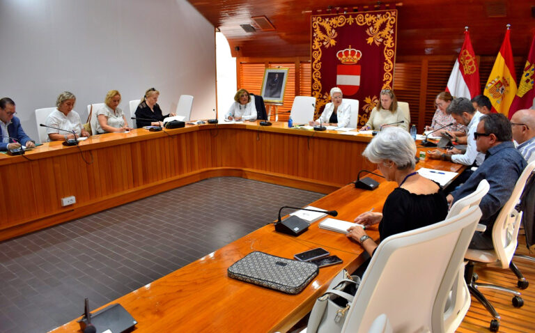 Puertollano: El Consejo Local perfila la actuación del plan municipal de atención a personas con discapacidad