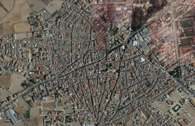 Arbolado y salud en Herencia