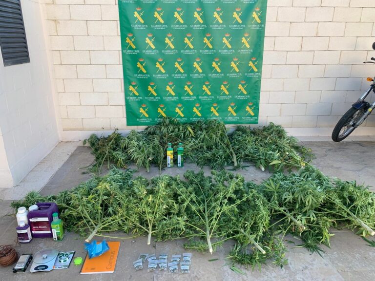 La Guardia Civil detiene a tres personas que se dedicaban al cultivo, procesado y venta de marihuana en Tomelloso