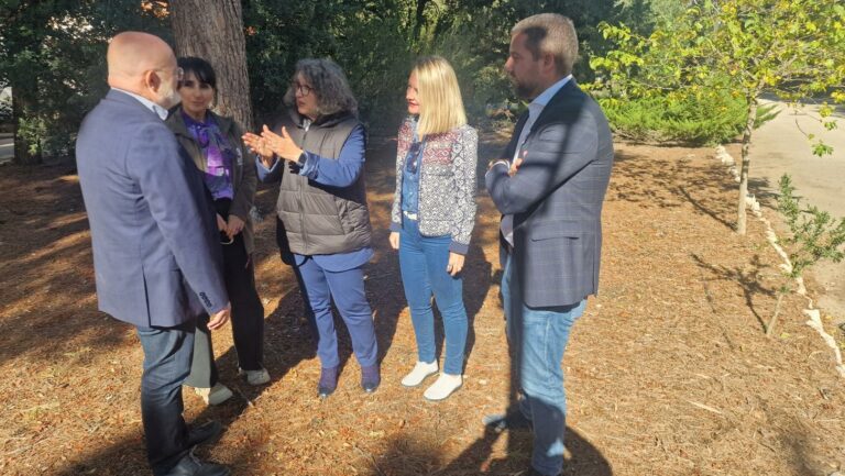 El Gobierno regional destinará 1,3 millones de euros a nuevas ayudas que favorecen la gestión forestal sostenible dentro del compromiso con el sector El Gobierno regional destinará 1,3 millones de euros a nuevas ayudas que favorecen la gestión forestal sostenible dentro del compromiso con el sector
