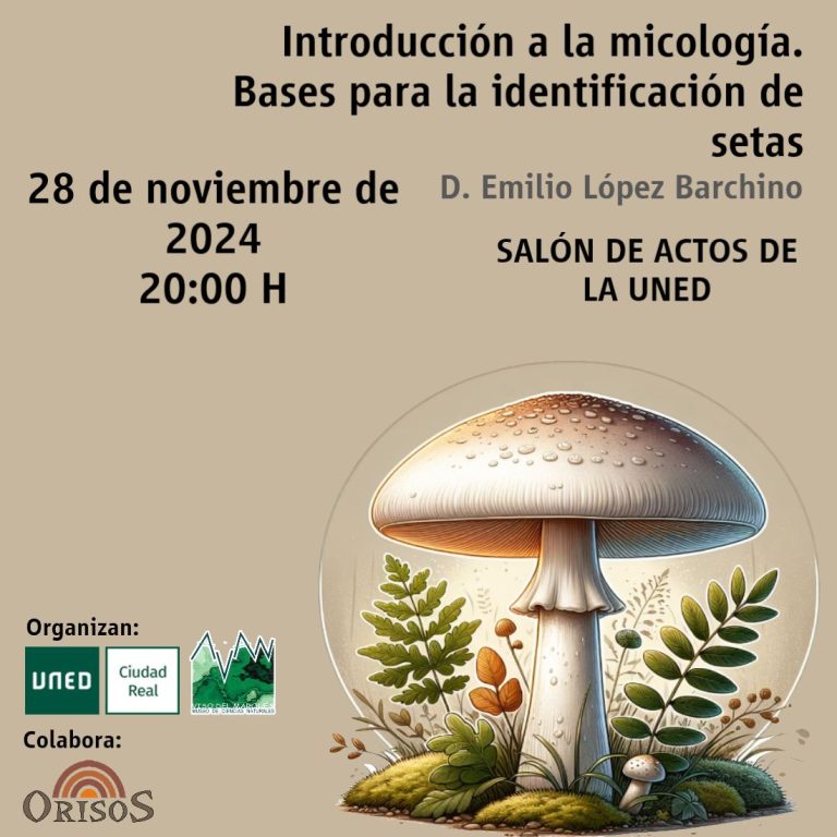 El experto micológico Emilio López Barchino impartirá en la UNED una conferencia sobre identificación de setas
