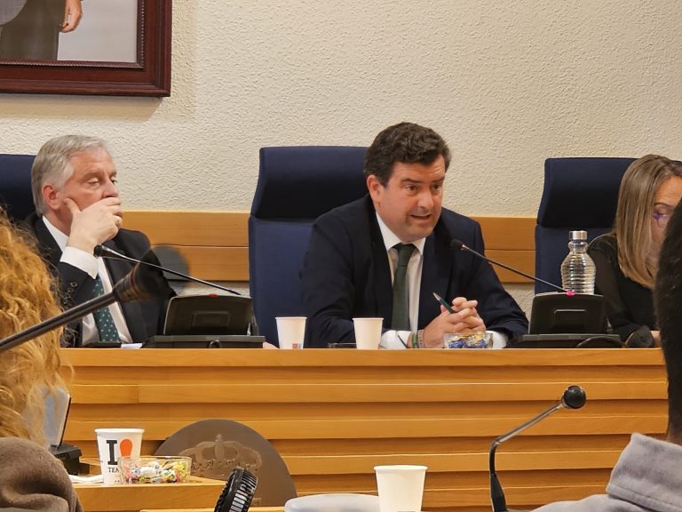 Comunicado de Vox Ciudad Real ante el insulto directo a Ricardo Chamorro interrumpiendo el pleno