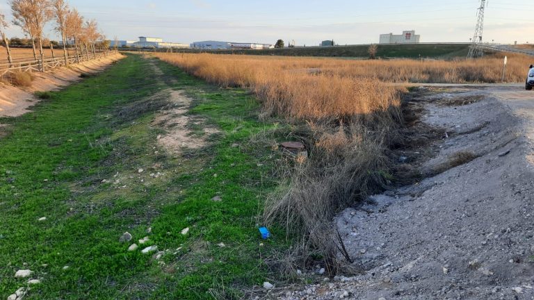 Respuesta del presidente de la Confederación Hidrográfica del Guadiana a la alcaldesa de Torralba sobre la limpieza de arroyo Pellejero