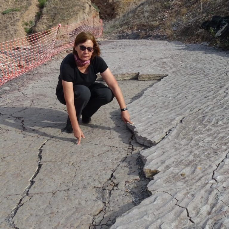 Carmen Álvarez abre este martes con la «Pompeya paleobotánica» el ciclo de conferencias del carbonífero de Puertollano
