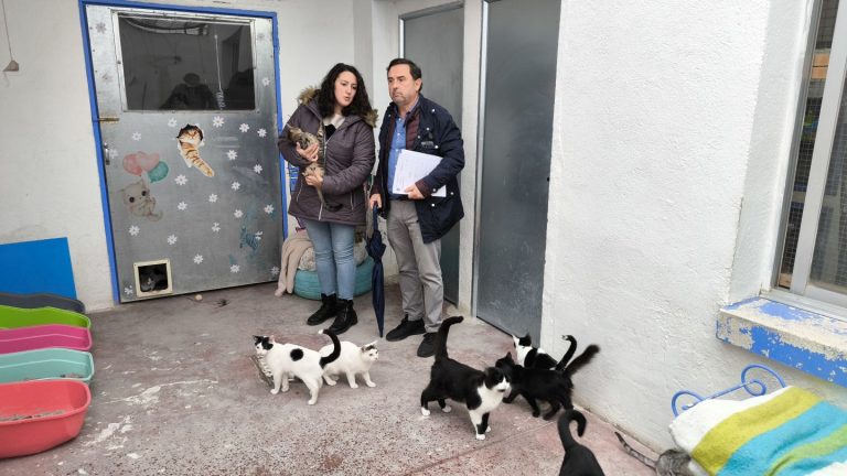 El Ayuntamiento de Ciudad Real renueva y mejora el convenio con la asociación Gatómicas