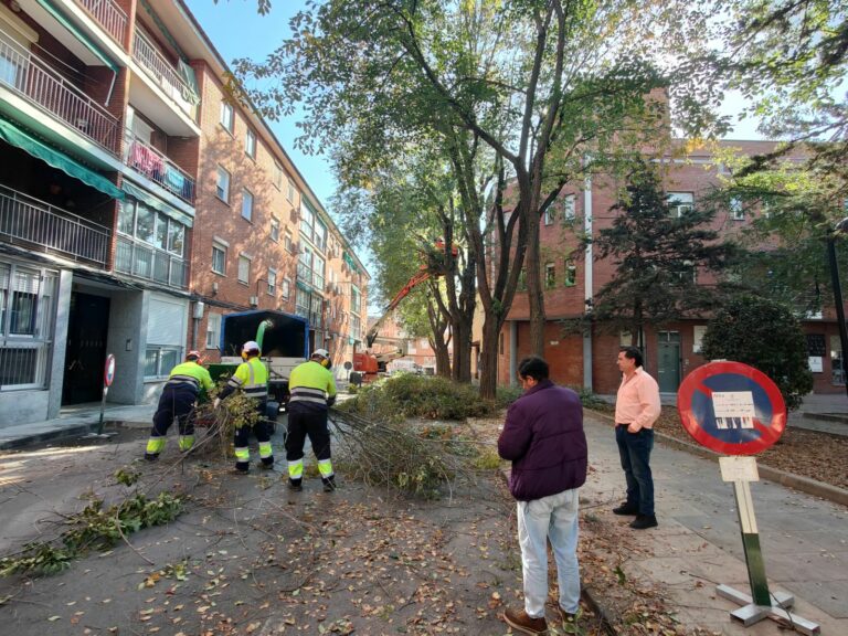 Comienza la campaña de poda que durará hasta marzo y llegará a más de 15.000 árboles de Ciudad Real