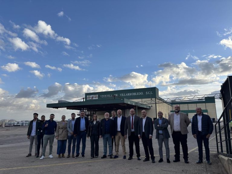 El Gobierno de Castilla-La Mancha abre el plazo para solicitar ayudas VINATI hasta el 15 de enero de 2025