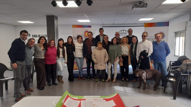 Las entidades sociales de Ciudad Real participan en la futura Estrategia del Tercer Sector de la región