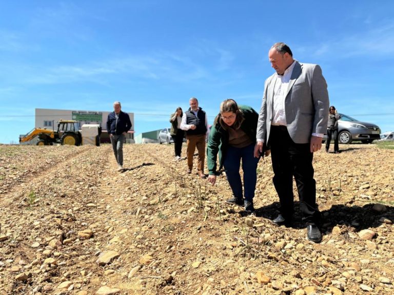 El Gobierno regional publica las órdenes de ayuda a la incorporación de jóvenes y mejora de sus explotaciones con un montante de 85 millones