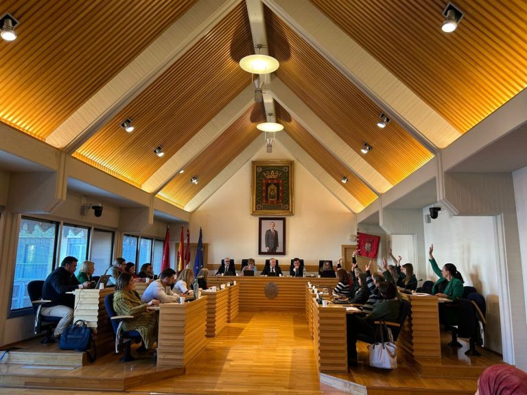 Cs lamenta que PP y VOX “bloqueen” la propuesta para reinstaurar los Bonos Comercio, “perjudicando al comercio local de Ciudad Real”