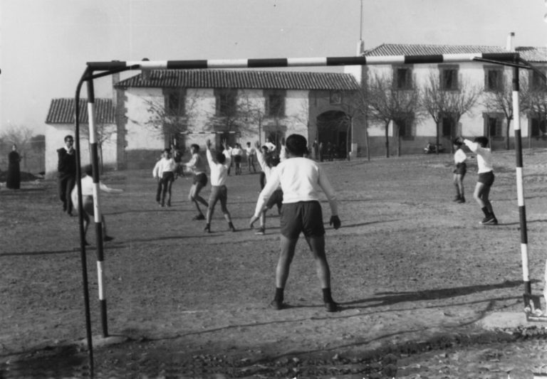 Excursión al Bonal