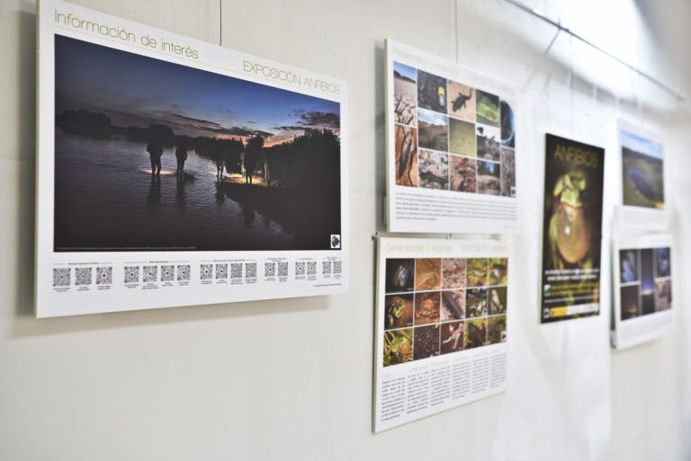 La exposición “Anfibios” se mostrará en la Biblioteca de Castilla-La Mancha a partir del 10 de enero